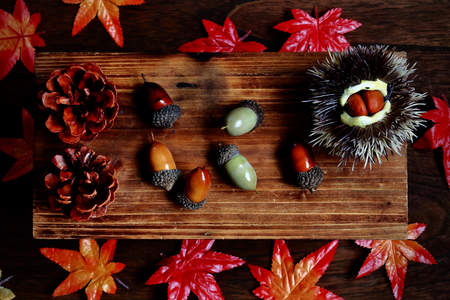 Fall of harvestの写真素材