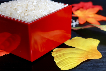 Rice in a containerの写真素材