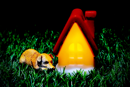 Puppy and red roof houseの写真素材