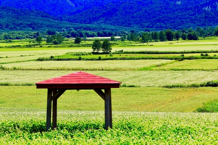 view point of buckwheat field in Horokanaiの写真素材