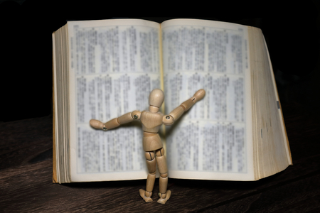 doll with dictionaryの写真素材