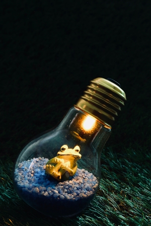 Frog and Terrariumの写真素材