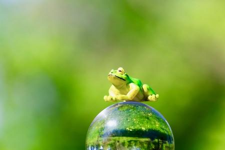 Frog and glass beads ballの写真素材