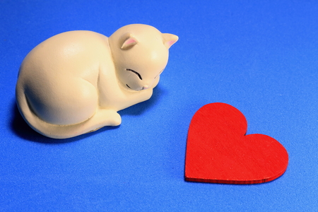 Cats loveの写真素材