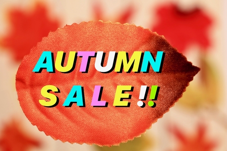 Fake Autumn leavesの写真素材