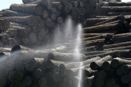 Lumber yard fieldの写真素材