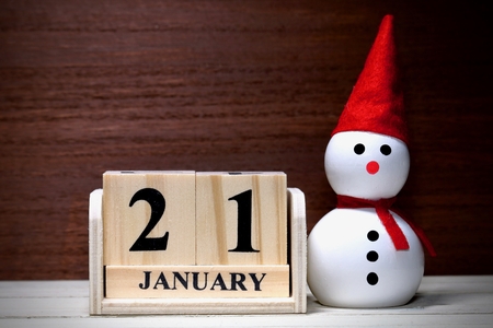 JANUARY Calendarの写真素材