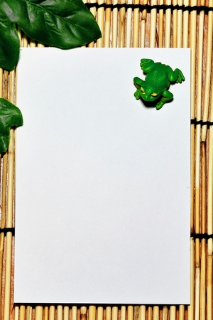 Write a summer greeting cardの写真素材