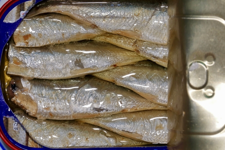 Oil sardine and cooked in the oven as canned foodの写真素材