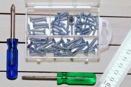 Screw driver with screws