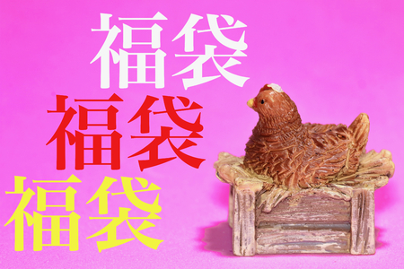 Year of the rooster.  Doll is what I bought at 100 yen shop. It is mass-produced.の写真素材