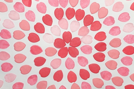 Cherry blossom petals image/Paper