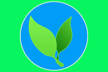 Leaf iconの写真素材