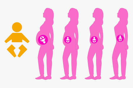 Pregnancy
pregnancyの写真素材