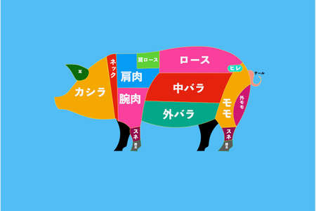 Pork parts
Cut of pork