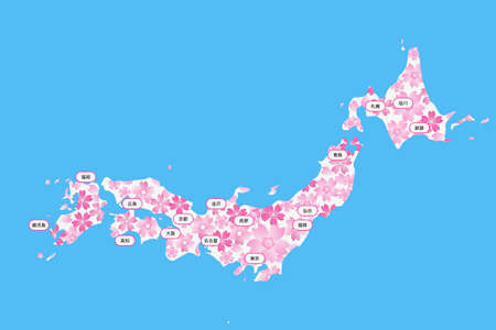 Cherry Blossom Front
Cherry blossom frontの写真素材