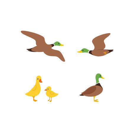 Cartoon duck sketch line icon. Cute bird icons set. Childish print for nursery, kids apparel, poster, postcard, pattern.のイラスト素材