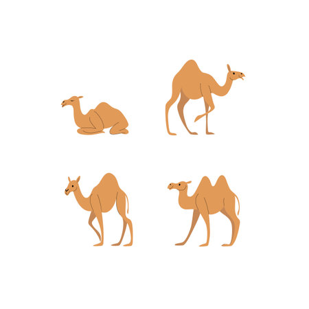 Cartoon camel sketch line icon. Cute animals set of icons.のイラスト素材