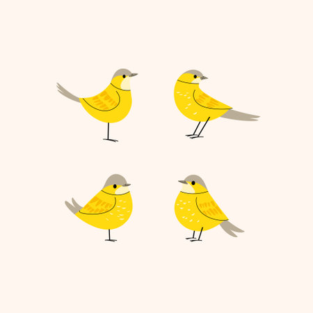 Cartoon bird icon set. Different poses of wagtail. Vector illustration for prints, clothing,...