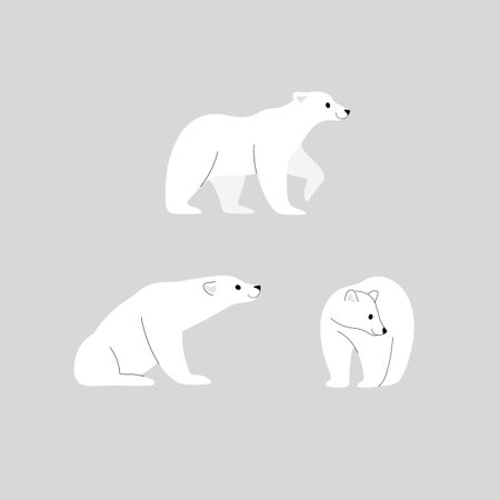 Cartoon bear icon set. Cute animal character in different poses. Vector illustration for prints, clothing, packaging, stickers.のイラスト素材