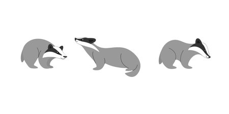 Badger in various poses. animal icon set. different type of animal. Contour vector illustration for emblem, badge, insignia.のイラスト素材