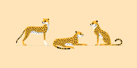 Cheetah icon set. Different type of wild cat. Vector illustration for prints, clothing, packaging, stickers.のイラスト素材