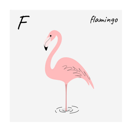 Cute flamingo - cartoon bird character. Vector illustration in flat style isolated on gray background.のイラスト素材