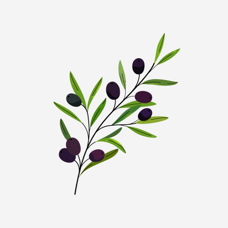 Branch of olive. Flat vector colorful illustration.のイラスト素材