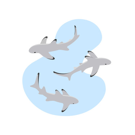 Simple flat illustration with three gray reef sharks. vector illustration.のイラスト素材