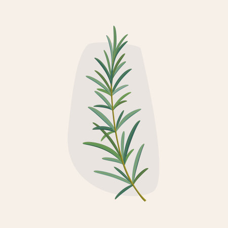 Branch of rosemary. Flat vector colorful illustration.のイラスト素材