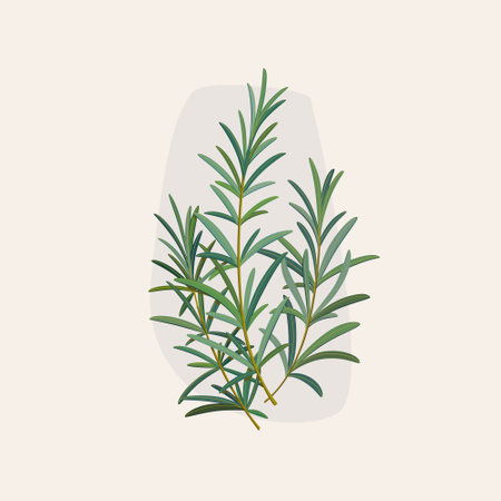 Sprig of rosemary. Flat vector colorful illustration.のイラスト素材