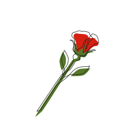 Linear rose with color spots of green, red on white backgroundのイラスト素材