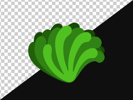 Green algae fan without background and on dark oneのイラスト素材