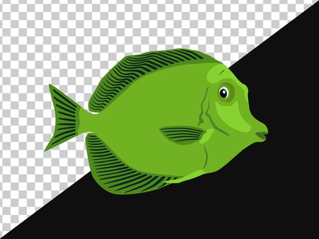 Fish is green with dark stripes on the fins without background and on dark oneのイラスト素材