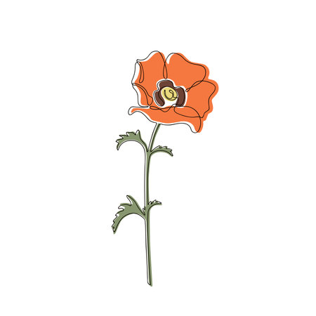 Poppy flower line with spots on a white backgroundのイラスト素材