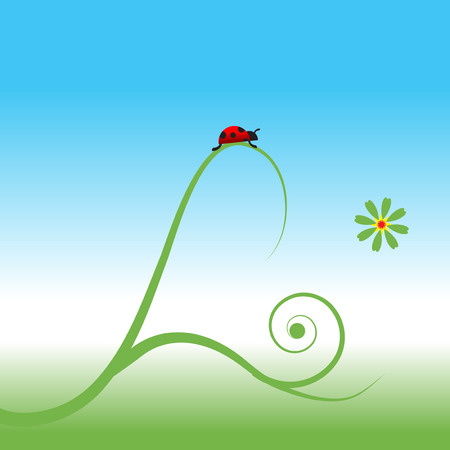 Ladybug, spring backgroundのイラスト素材