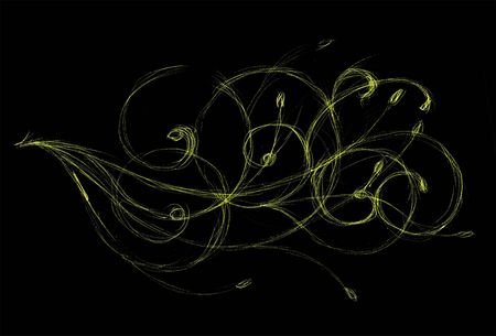 Floral ornament sketch for your designの写真素材