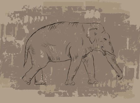 Elephant sketch on grunge backgroundのイラスト素材