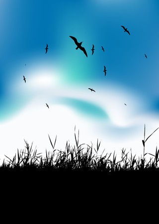 Summer meadow and birds in sky, black silhouetteのイラスト素材