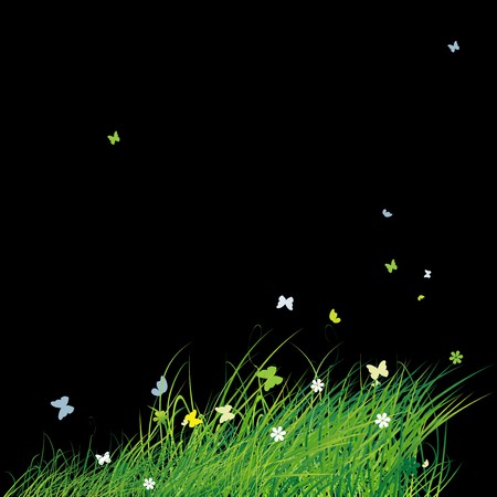 Green field with butterflies, summer backgroundのイラスト素材
