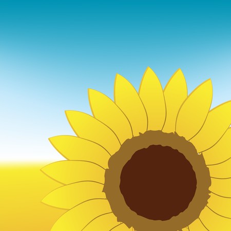 Sunflower on summer fieldのイラスト素材