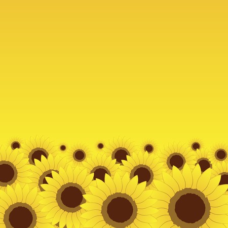 Summer meadow, sunflowers background for your designのイラスト素材