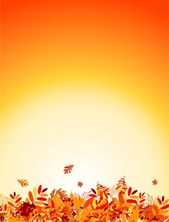 Autumn leaves background for your designのイラスト素材