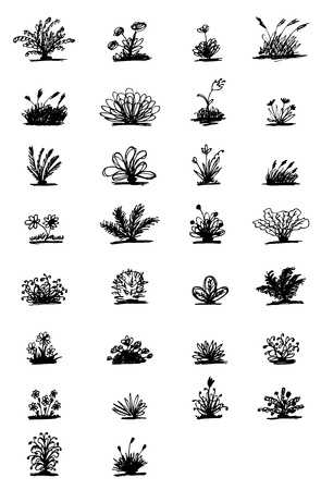 30 sketch of plants for your designのイラスト素材