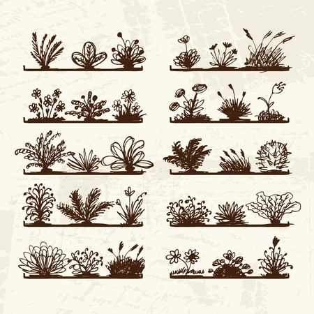 Sketch of plants on shelves for your design のイラスト素材