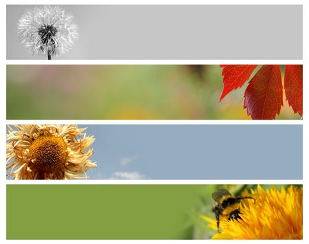 Nature banners for your designの写真素材