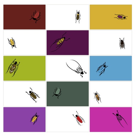Design cards with beetles sketchのイラスト素材