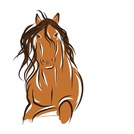 Horse sketch for your design. Symbol of 2014 yearのイラスト素材