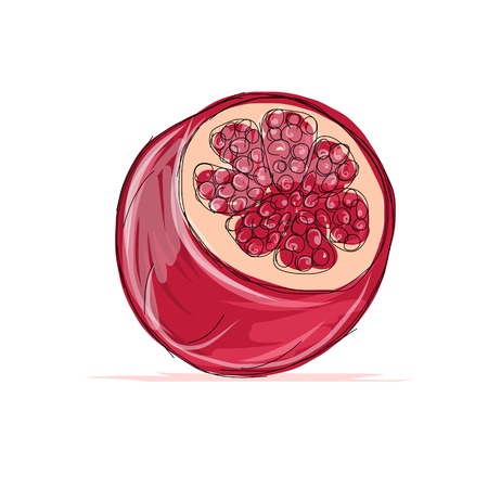 Sketch of pomegranate for your designのイラスト素材