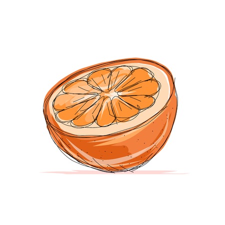 Sketch of orange for your designのイラスト素材